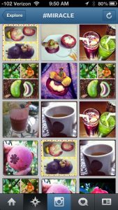 Fruit Spam Instagram